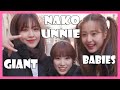 IZONE PD48 - EP2 NAKO UNNIE, GIANT BABYS AND THE TITANS  / CUTE AND FUNNY MOMENT 아이즈원 / アイズワン,