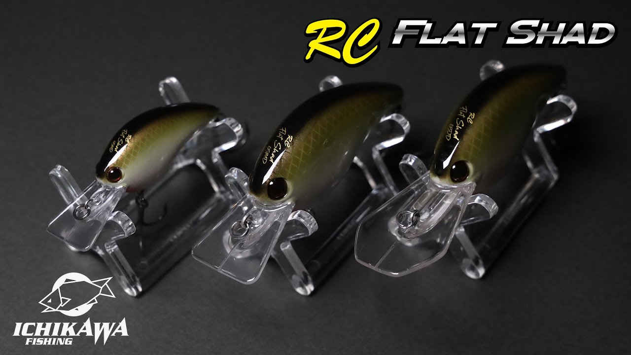 Ichikawa RC Flat Shad 65MD Squarebill Crankbait