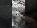 How to adjust the flour cutting machine. #shortvideo #youtube #shortsvideo #mechanical #hardwork.