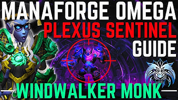 Plexus Sentinel Windwalker Guide: Mastering Manaforge Omega