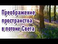 🔹Преображение пространства в потоке Света