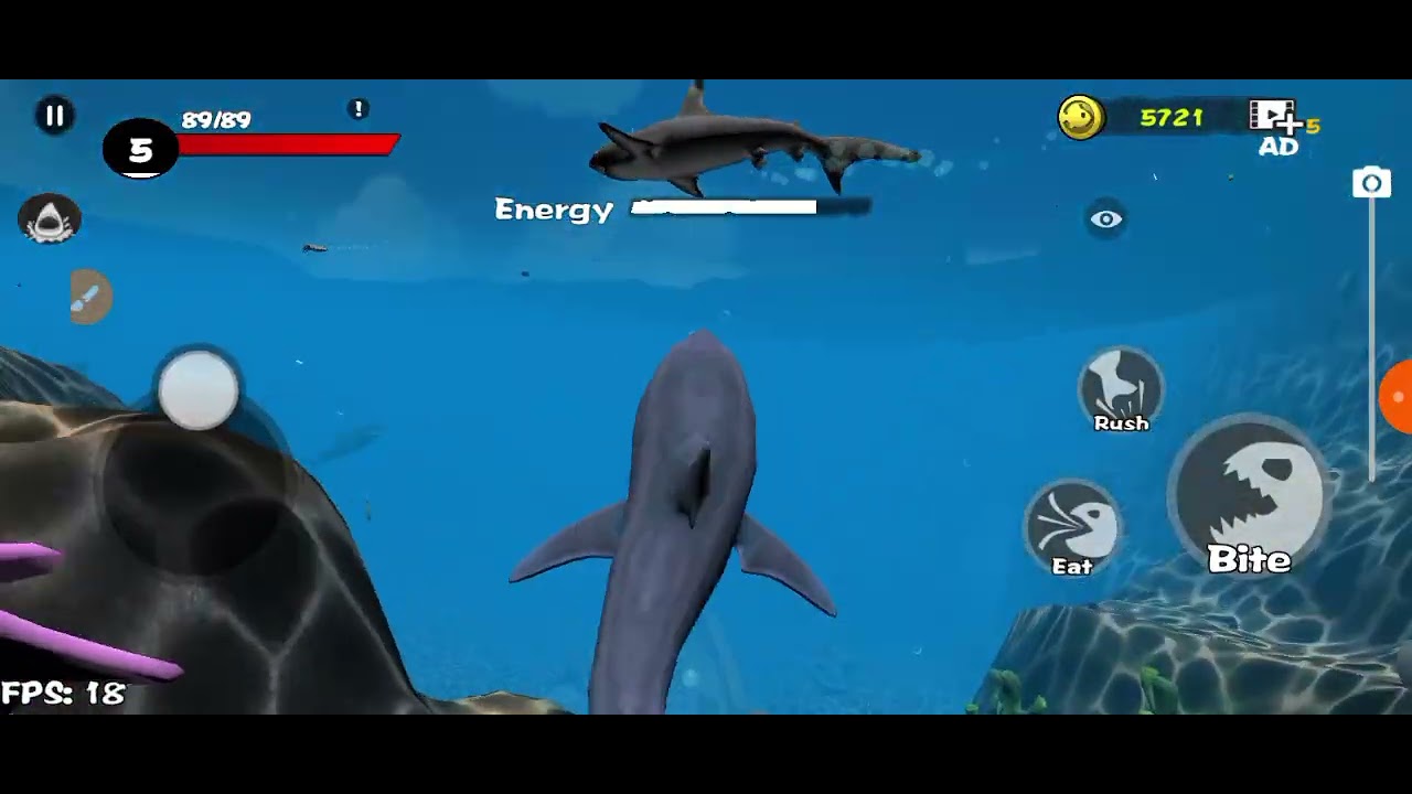 Main game fish crew sampai level 15