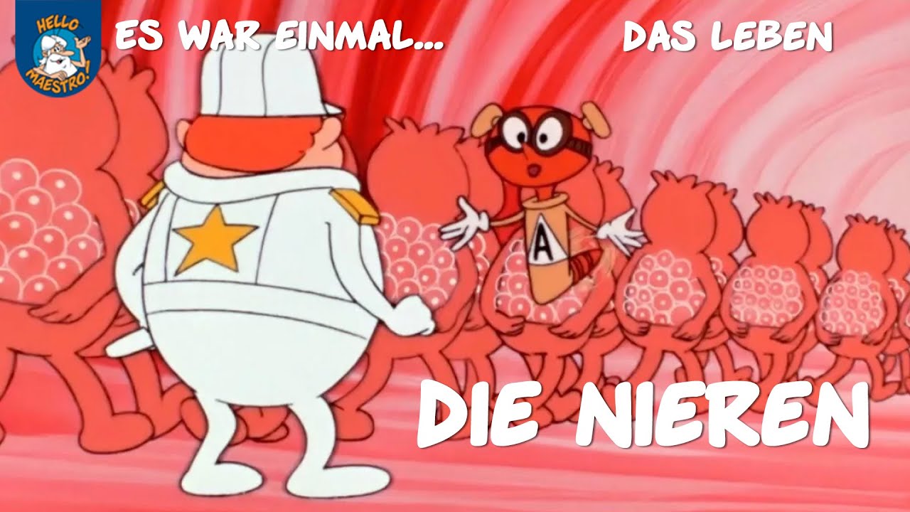 Es War Einmal Das Leben Blutkreislauf Es War Einmal Das Leben Blutkreislauf