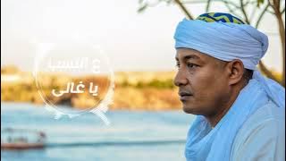 محمود محسب ع النسب ياغالى