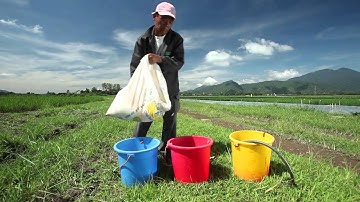 Global Information System on Plant Genetic Resources for Food and Agriculture