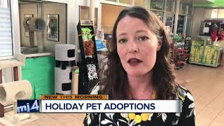 Holiday season brings big demand increase at Wis Humane Society