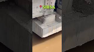 Sirsa Fields in Flood- Ghaggar River Condition- 29 August 2025 #floodinsirsa #ghaggarriver