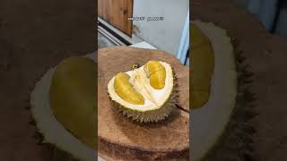 Unboxing Musangking Durian 🤤🤤🤤👌👌👌 #durian #duriantraveler #durianviral