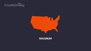 Magnum - How Does it Work?