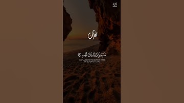 تبت يدا أبي لهب وتب | سورة اللھب / القارئ محمد اللحيدان /