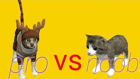 ||Cat sim || Pro vs Noob || Turkish! ||