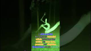Terrifying USA's Urban Legend #legends #urbanlegend #skinwalker