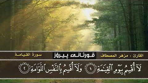 مزهر المصطاف سورة القيامة
