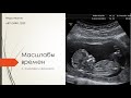 И.Иванов Лекция 4. "Ультразвук и фононика" / I.Ivanov Lecture 4. "Ultrasound and phononics"