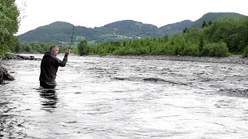 COMPACT SHOOTING HEADS - GUIDELINE PRODUCT VIDEO