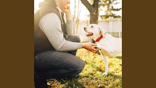 Harmonious Howls Jazz Rhythm