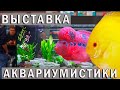 Выставка аквариумных рыбок Ульм! Птичий Рынок Аквариумные рыбки, растения,  ассортимент!