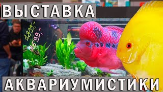Выставка аквариумных рыбок Ульм! Птичий Рынок Аквариумные рыбки, растения,  ассортимент! 4К