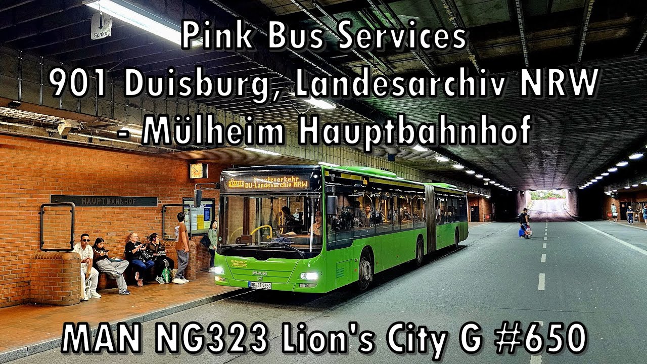Pink Bus Services - Linie SEV-901, MAN NG323 Lion's City G #650
