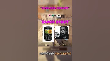 New Secret Update - Invincible Chicken?????