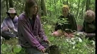 Mourning Trees by UtubeUser 1,230 views 7 years ago 16 seconds