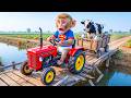 Monkey Farmer Drives Tractor to Transport a Dairy Cow &amp; Survives a Collapsing Bridge in CHAOTIC Farm