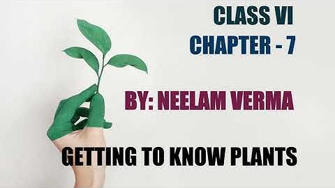 Chapter- 7 |GETTING TO KNOW PLANTS| Class 6