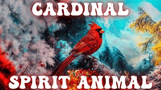 Spirit Animal: Cardinal