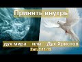 Принять внутрь (впитать) дух мира или Дух Христов. Фрагмент эфира от 15/01/22.