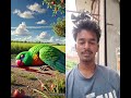 Parrot Ko Goli Khse Mari Youtube Shorts Aivideo 
