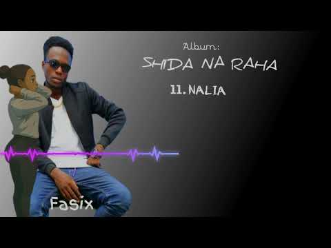 Fasix Nalia Official Audio Track No 11 Produced By TonnyBizzy