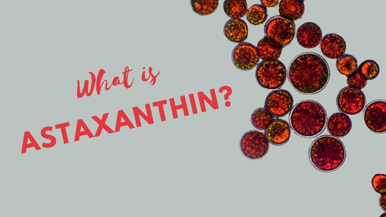Unlocking Nature's Secret Astaxanthin and Its Revolutionary