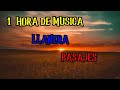 MUSICA LLANERA VARIADA - PASAJES