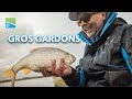 Gros gardons au feeder  pche de gros gardons en amricaine avec olivier et stphane