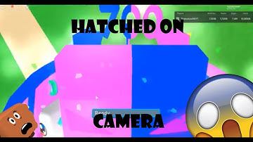 TOP 5 IMMORTAL TROPHY AND IRIDIUM PRISMA HATCHED ON CAMERA IN BUBBLE GUM SIMULATOR!