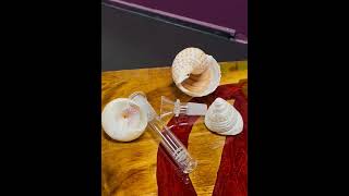 Seashell Bong Rip Astronaut Helmet, Christian Cannabis Dispensary