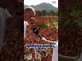 Na Pelješcu su očekivali odličan urod, ali onda je buknuo požar.