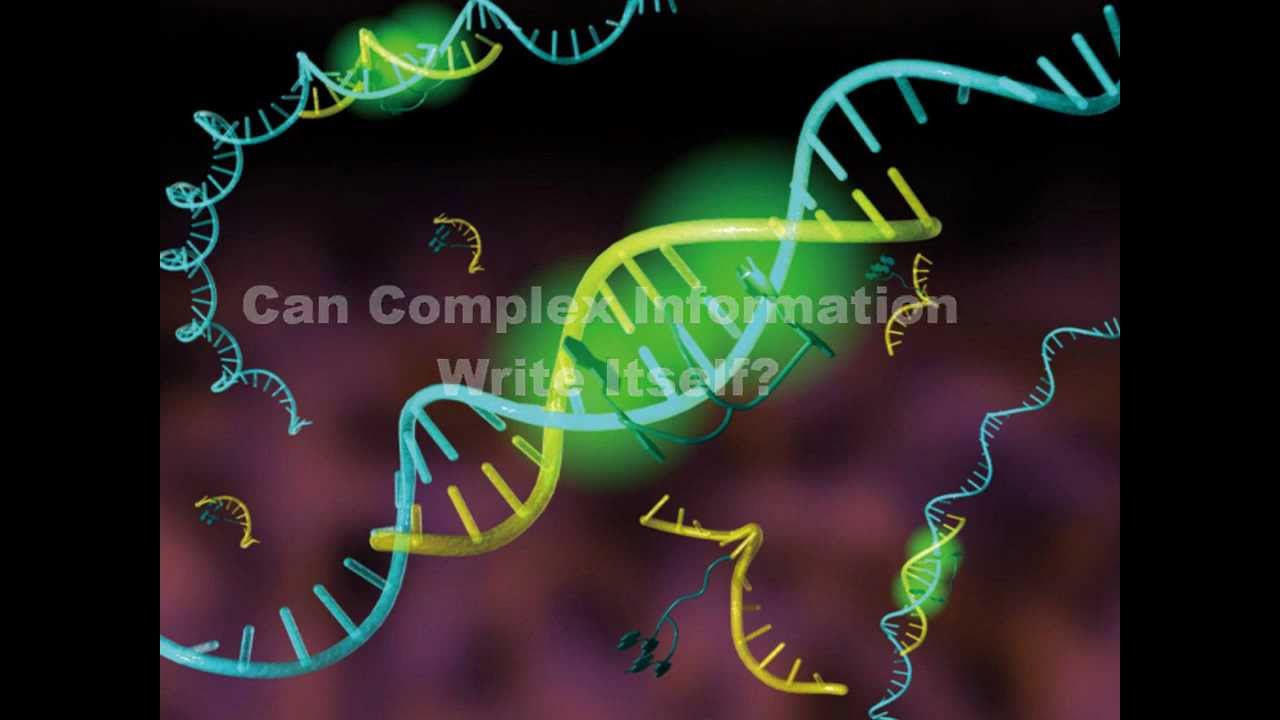 Днк зонд. РНК-зонды. ДНК И РНК зонды. ДНК зонды микробиология.