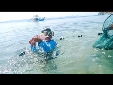 ผลสลากกินแบ่งรัฐบาล วันที่ 1 พย. 2567