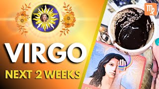 Virgo ♍️ YOU ARE THRIVING AS PART OF THE DIVINE PLAN! Coffee Cup Reading & Tarot | NEXT 2 WEEKS