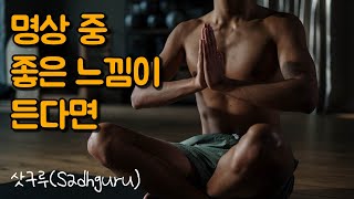 명상의 목적은 무엇인가요? | 삿구루