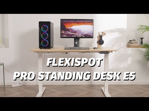 FlexiSpot Pro Standing