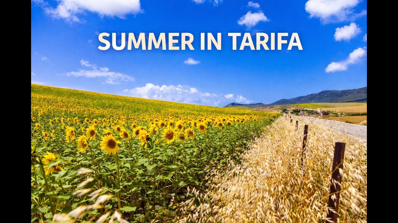 Summer in Tarifa | Slow Moments, Heat and Calm Nature