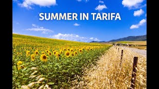 Summer in Tarifa | Slow Moments, Heat and Calm Nature screenshot 4