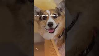 Goodbye Olivia #olivia and hammy