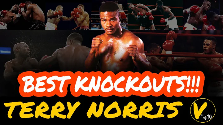 10 Terry Norris Greatest Knockouts