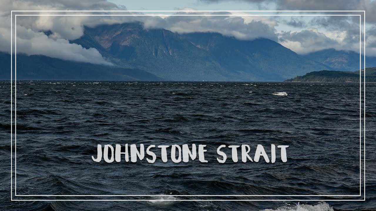 Johnstone Strait is NOT to be Messed With | Chapter 4 Episode 41 | The Wayward Life