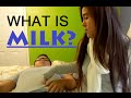 WHAT IS MILK? (RE-UPLOAD)