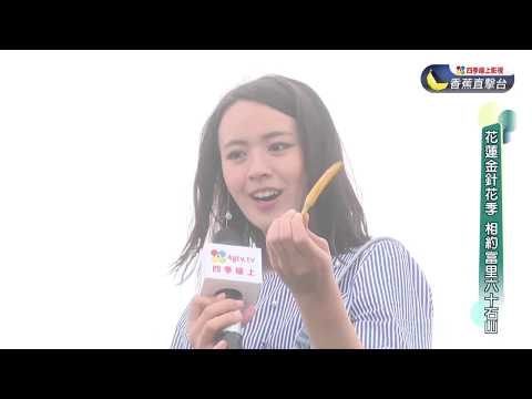 2017花蓮金針花季 相約富里六十石山:至高點