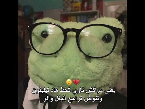 نوووض جونغكوك نسنوسا اكسبلور نرجس  جيش النمور   الجزائر لايك نسنوسا